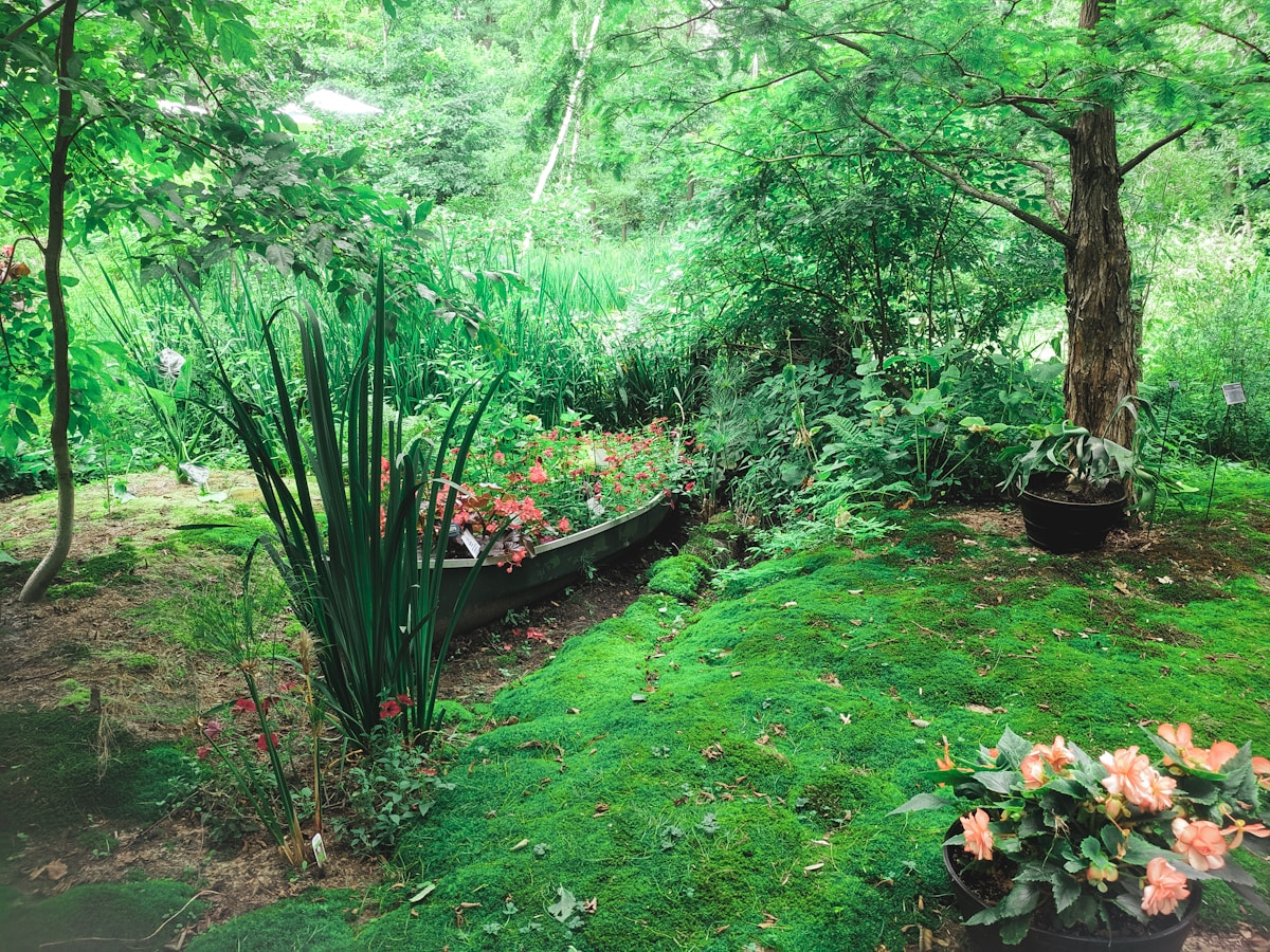 Gardening and landscaping work