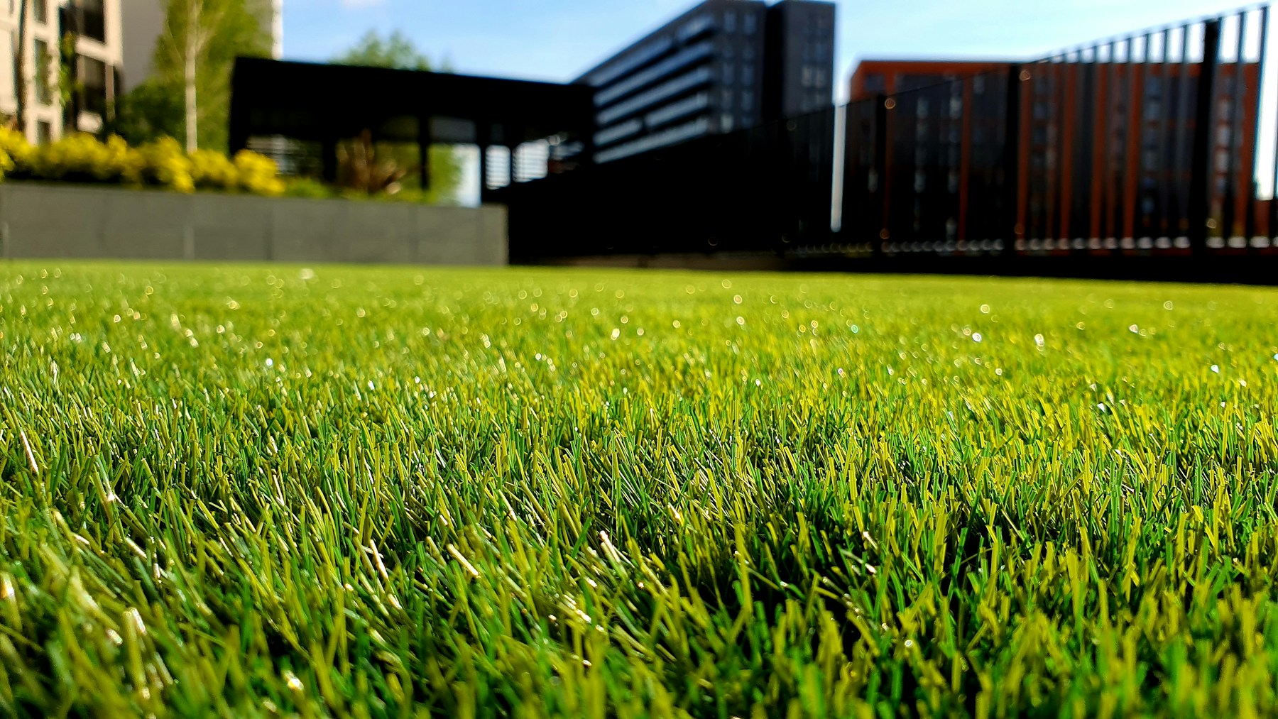 Landscaping work in a residential yard